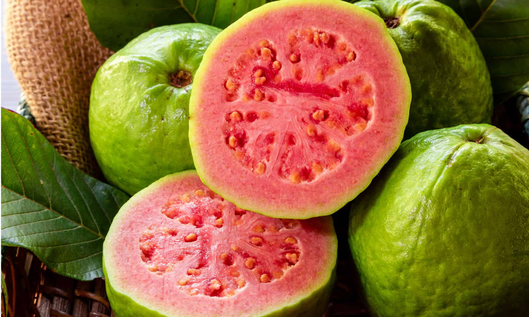 Red Guava (Red Diamond Variety)