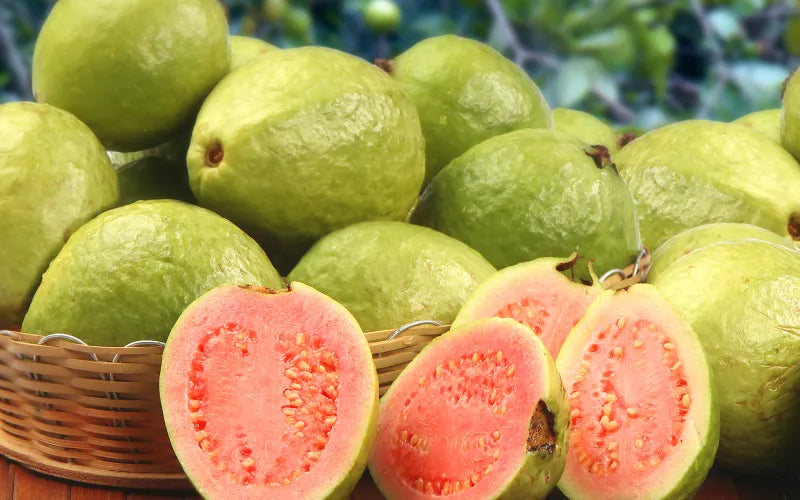 Red Guava (Red Diamond Variety)